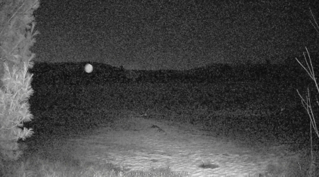 Image from 2025-03-18