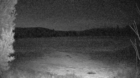 Image from 2025-03-18