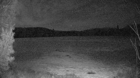 Image from 2025-03-18