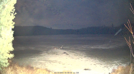 Image from 2025-03-18