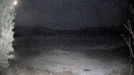 Image from 2025-03-18