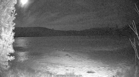 Image from 2025-03-18