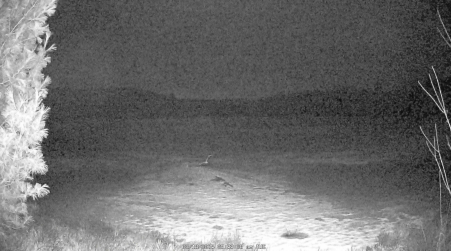 Image from 2025-03-18