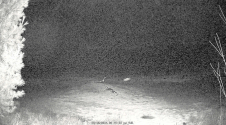 Image from 2025-03-18