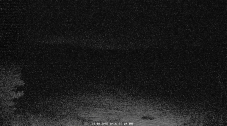 Image from 2025-03-18