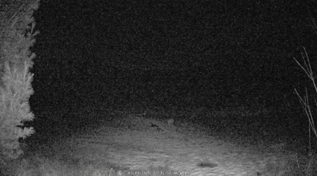Image from 2025-03-19