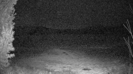 Image from 2025-03-19