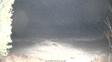 Image from 2025-03-19