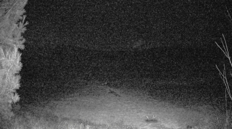 Image from 2025-03-20