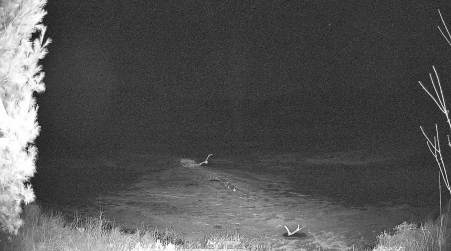 Image from 2025-03-20