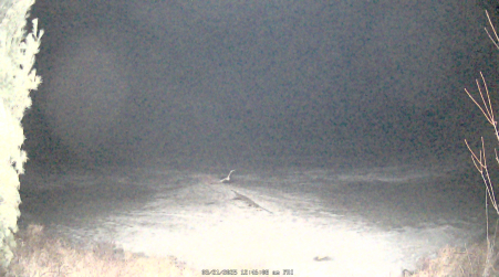 Image from 2025-03-21