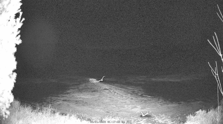 Image from 2025-03-21