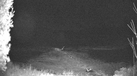 Image from 2025-03-21