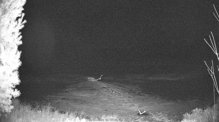 Image from 2025-03-21