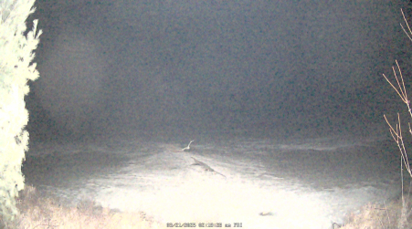 Image from 2025-03-21