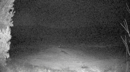 Image from 2025-03-21