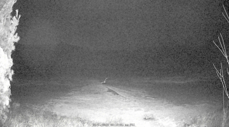 Image from 2025-03-21