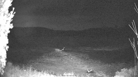 Image from 2025-03-21