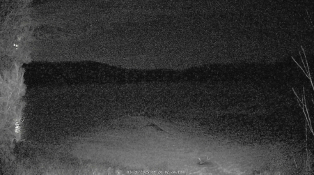 Image from 2025-03-21