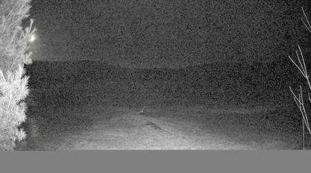 Image from 2025-03-21