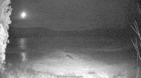 Image from 2025-03-21
