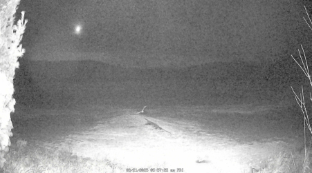 Image from 2025-03-21