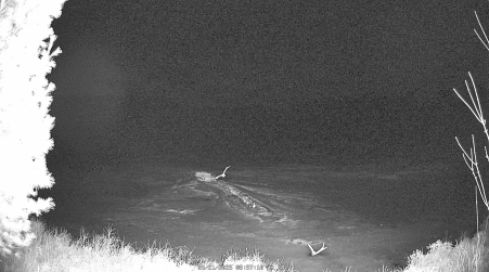 Image from 2025-03-21