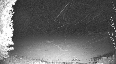 Image from 2025-03-21