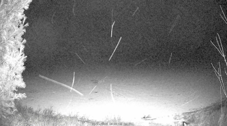 Image from 2025-03-21