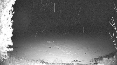Image from 2025-03-21