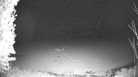 Image from 2025-03-21