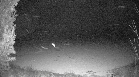 Image from 2025-03-22