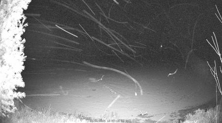 Image from 2025-03-22