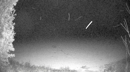 Image from 2025-03-22