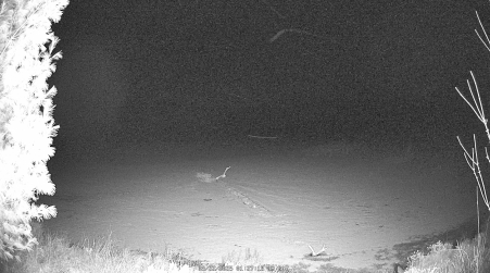 Image from 2025-03-22