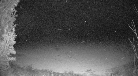 Image from 2025-03-22