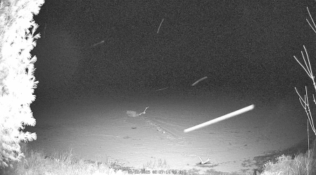 Image from 2025-03-22