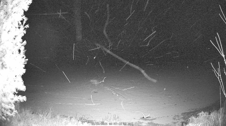 Image from 2025-03-22