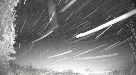 Image from 2025-03-22