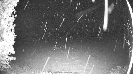 Image from 2025-03-22
