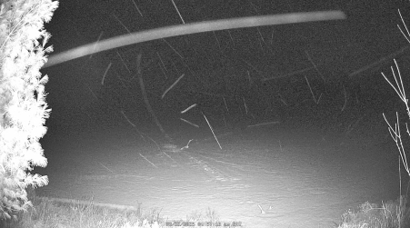 Image from 2025-03-22