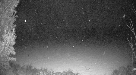 Image from 2025-03-22