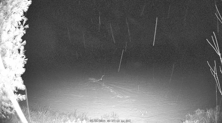 Image from 2025-03-22