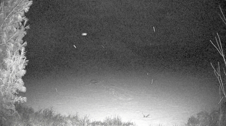 Image from 2025-03-22