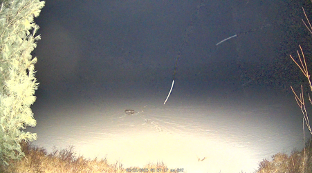 Image from 2025-03-22