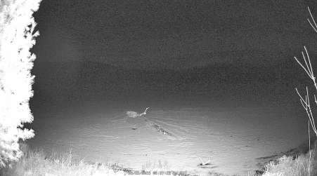 Image from 2025-03-22