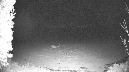 Image from 2025-03-22