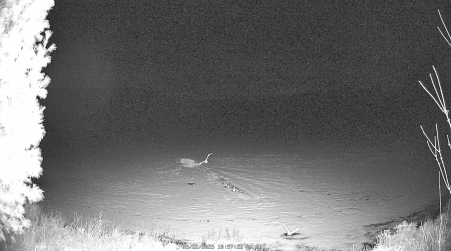 Image from 2025-03-22