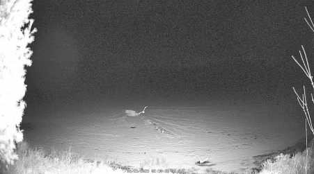 Image from 2025-03-23