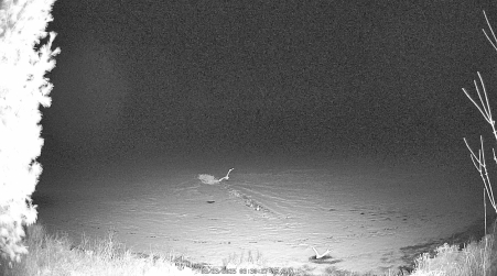 Image from 2025-03-23